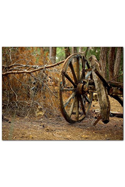 Cakatablo Ξύλινος πίνακας με παλιό τροχό αλόγου στο δάσος (διαστάσεις 50x70 εκ.)