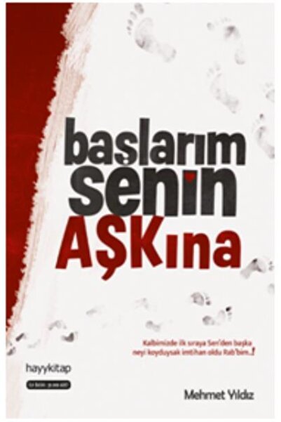 hayykitap Başlarım Senin Aşkına  Mehmet Yıldız