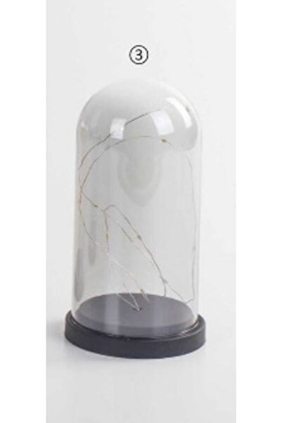 Femina Ters Fanus Peri Ledli Mika Fanus