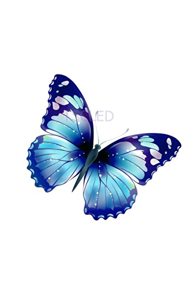 TSC لصق سيارة الفراشة 14 سم