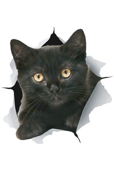 TSC ملصق سيارة ممزق على شكل قطة سوداء، غطاء خدش