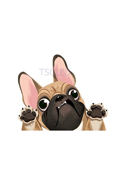 TSC ملصق سيارة بولدوج فرنسي