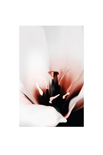 ÖZCANLAR ÇERÇEVE Özcanlar Dekorasyon Çoklu Çerçeveler Baskılar Baskı Seti Ev Dekoru Tablo