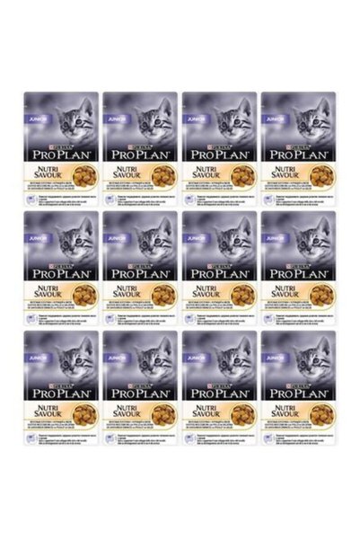 Pro Plan Junior Yavru Pouch Konserve 85 Gr X 12 Adet
