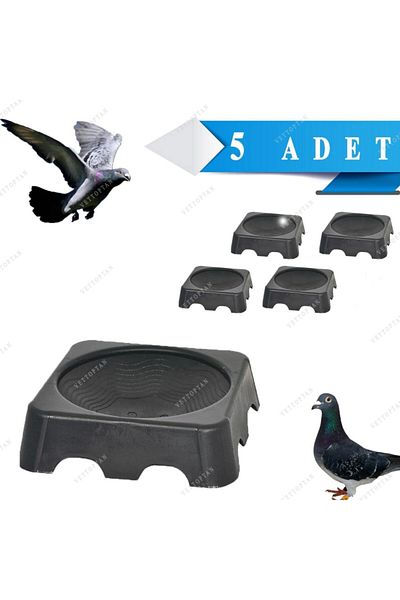 Endiket Square Egg Cup Funnel Pigeon Chicken Funnel Square Funnel 5 Pieces Egg Cup Nest Plastic Pigeon