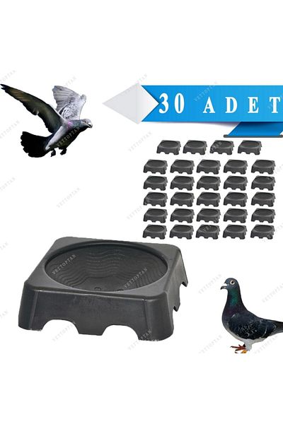 Endiket Square Egg Cup Funnel Pigeon Chicken Funnel Square Funnel 30 Pieces Egg Cup Nest Plastic Pigeon