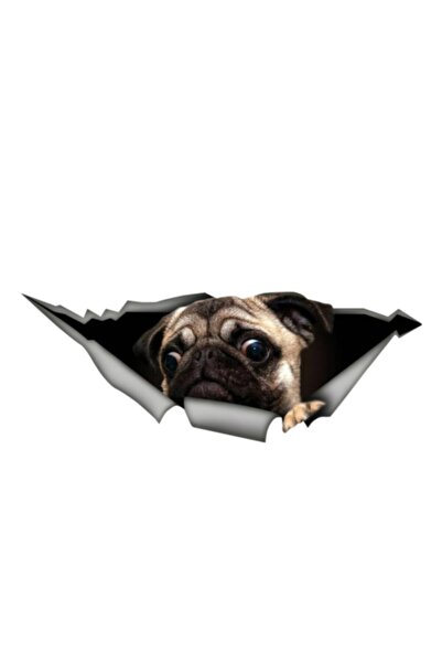 TSC Pug Pet Funny Car Sticker