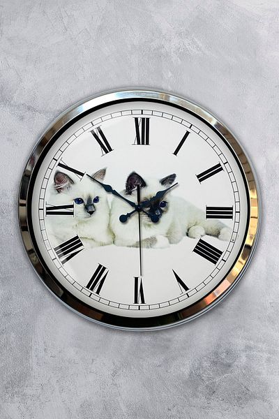 Kasva Concept Gift 40 cm Chrome Metal Cat Wall Clock