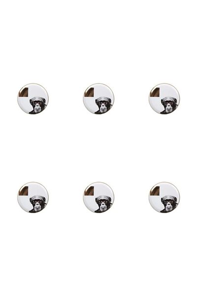 Porland Wild Life Monkey Flat Plate 20cm Set of 6
