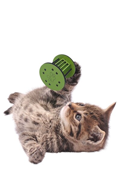 Buffer ® Mini Cylinder Fun Colorful Sturdy Small Paw Print Shaped Cat Toy