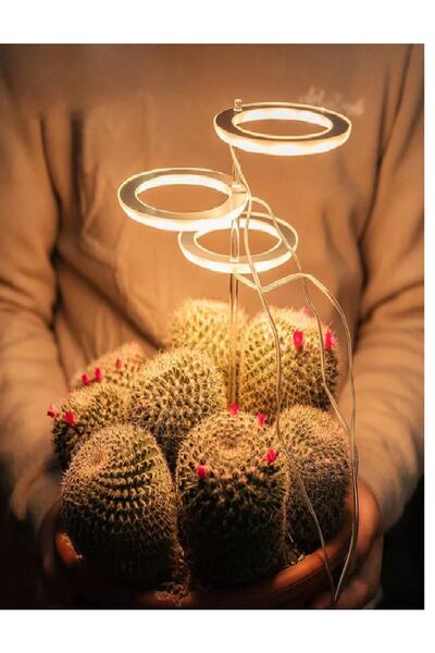 ALKESE Usb Uçlu Elektrikli Dekoratif Led Çiçek Kaktüs Bitki Büyütme Işığı Yıl...