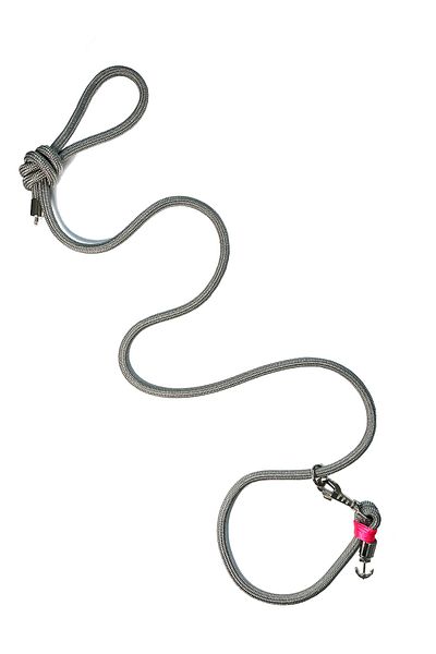 PETSWUU Gray Dog Design Choke Collar