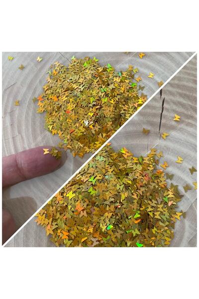 Sirius Hobi Epoksi Reçine Gold Butterfly Kelebek Tırnak Makyaj Chunky Glitter...