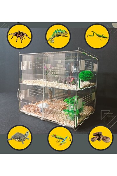 Genel Markalar Akrilik Sürüngen Ve Terrarium Kafesi 2 Katlı 4 Bölmeli