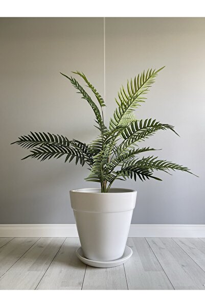 odka 20litreKalın Dudaklı Konik Saksı 25cmx23cm Tabaklı Beyaz