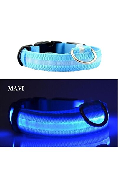 Dalian Home Led Işıklı Fonksiyonlu Boyun Tasması, Ayarlabilir Led Boyun Tasması - Mavi