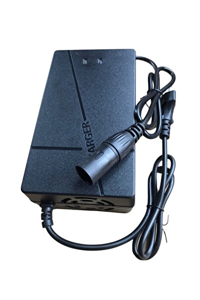 ALY CHARGER 48v 24ah Engelli Arabası/akülü Sandalye Şarj Adaptörü