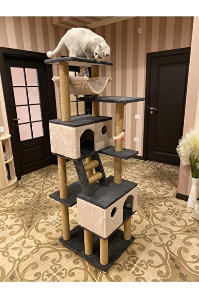 pethomealpi Cat Scratching House and Play Platform 100% Warranty Free Shipping