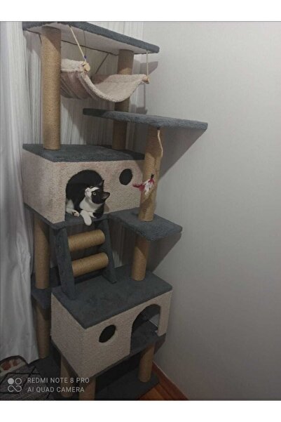 pethomealpi Cat Scratching House and Play Platform 100% Warranty Free Shipping