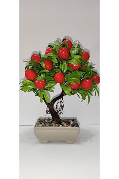 Dumans home شجرة الكرز في وعاء صغير