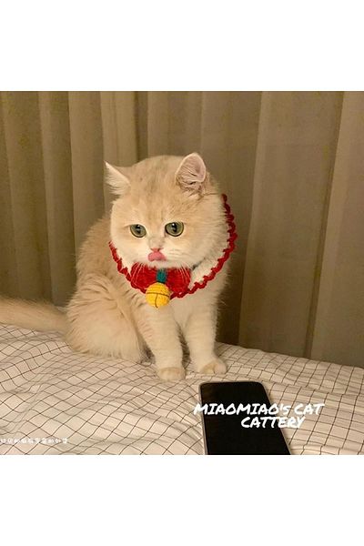 ayörme Organic Knitted Cat Dog Neck Collar Apron Custom Made