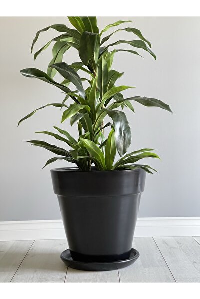 odka 10litre Kalın Dudaklı Konik Saksı Tabaklı Yükseklik: 23cm Çap:25cm Siyah