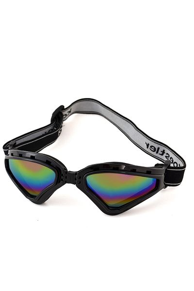 Koestler Unisex Ski Goggles