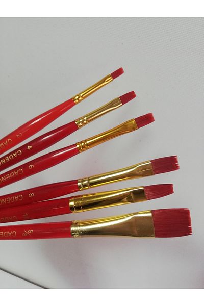 Cadence One Stoke Brush Set