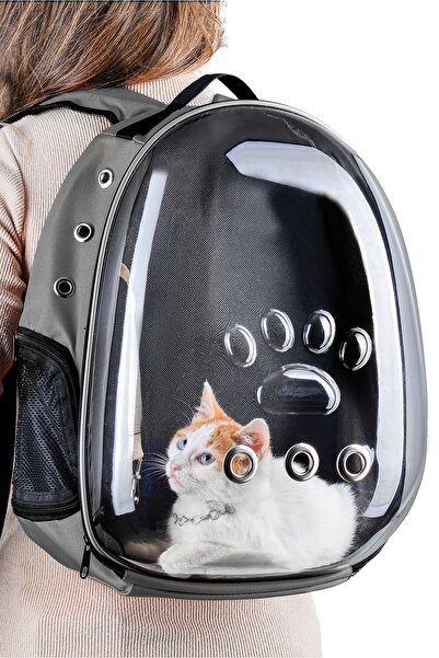northern fashion Kedi Taşıma Çantası Turuncu El Ve Sırt Çantası 9hava Kanalı ...
