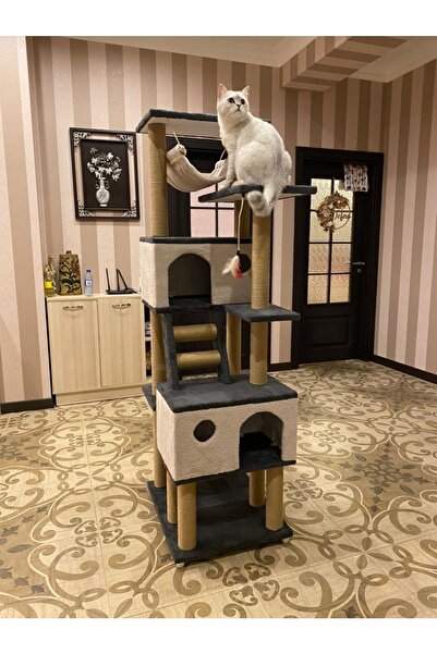 pethomealpi Cat Scratching House and Play Platform 100% Warranty Free Shipping