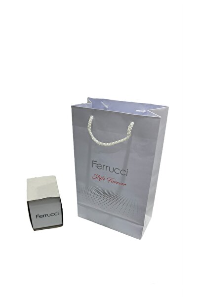 Formotion Men's Wristwatch FM.13566FH.01 - Mesh and Steel Band, Functions Active