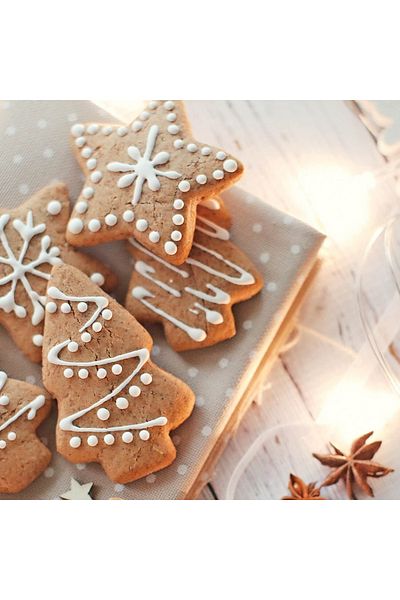 DMS DEKOR Candy Cane-pine Tree-gingerman-snowman Cookie Mold And Decoration Glaze New Year Set