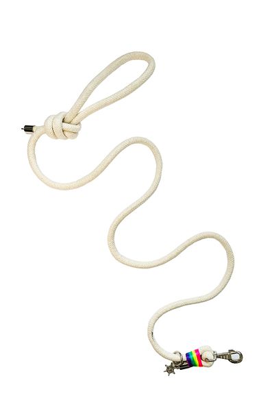 PETSWUU Dog Cotton Rope Walking Strap