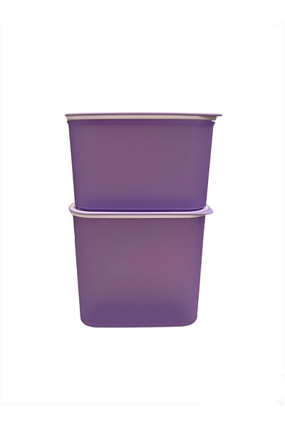 Tupperware Lilac Oval Storage Container Set of 2