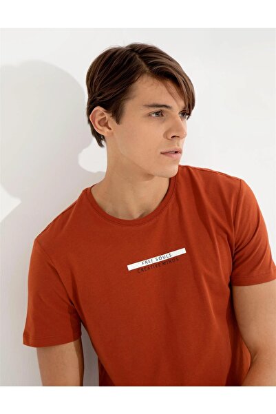 Pierre Cardin Copper Slim Fit Crew Neck T-shirt