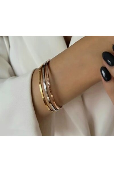 Vanessa Jewelry 3'lü Silver & Gold & Bronz Çelik Bilezik