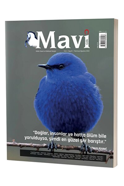 Herdem Kitap Mavi Gök Kültür Sanat Ve Edebiyat Dergisi Sayı & 8