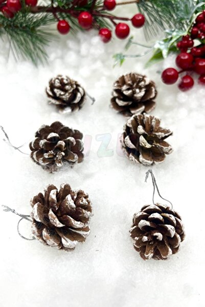 Huzur Party Store Πραγματικός κώνος 4 εκ. - Λευκό και καφέ, Πρωτοχρονιάτικο στολίδι 6 τεμαχίων, Κρεμαστό δέντρο από πεύκο