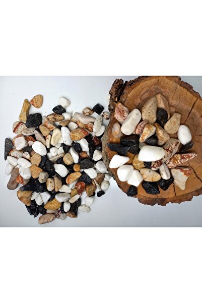 Asenya Renkli Çakıl Taşı 2 Kg 1-2 Cm Saksı Dibi Teraryum Saksı Süs Vazo Dibi ...