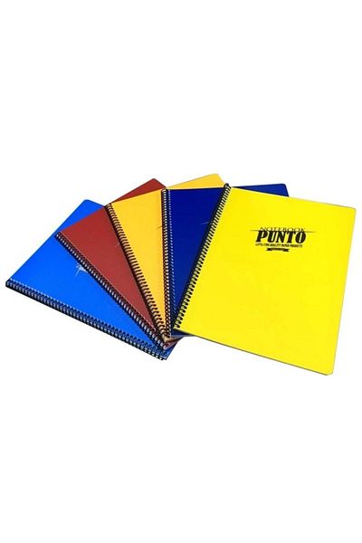 Gıpta Punto A4 100 - Caiet cu linii spiralate colorate