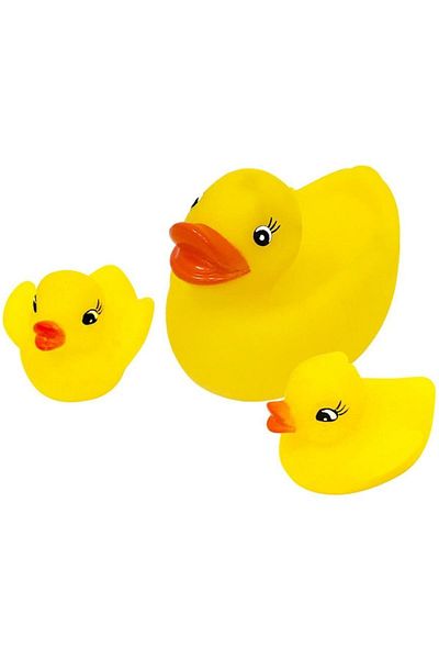PİLSAN Cute Mother Duck and Her Babies