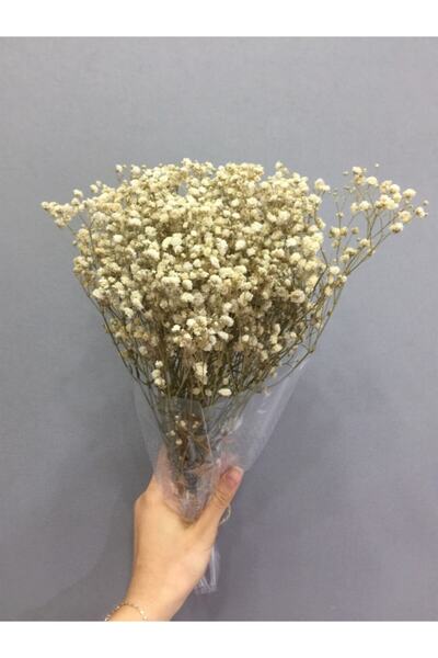 Aker Hediyelik Krem Şoklu Doğal Cipso 50gr Dökülmez Kuru Krem Çiçek Çeşitleri...