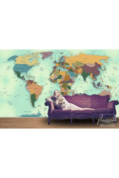 Pluswall Güncel Siyasi Dünya Haritası Özel Tasarım Duvar Kağıdı 1 Metre Kare