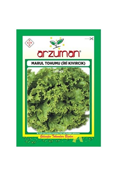 Arzuman Tohum Marul Tohumu Iri Kıvırcık