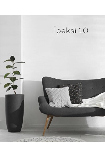 Filli Boya Momento Max 1.25lt Renk: Ipeksi10 Soft Mat Tam Silinebilir Iç Ceph...