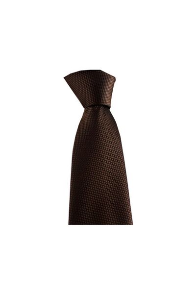 Brianze Men's Brown Handkerchief Tie Smdk-28