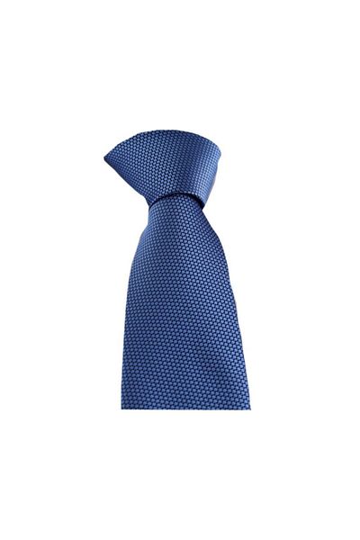 Brianze Men's Blue Handkerchief Tie Smdk-27