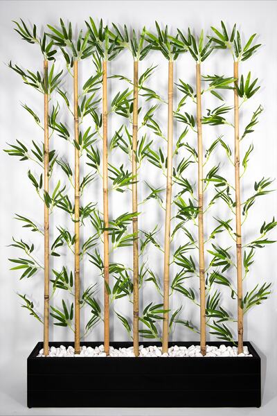 YAPAY ÇİÇEKÇİNİZ 170 Cm Bambu Seperatör