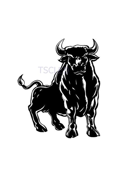 TSC Ispanyol Boğa Güçlü Araba Sticker Yapıştırma