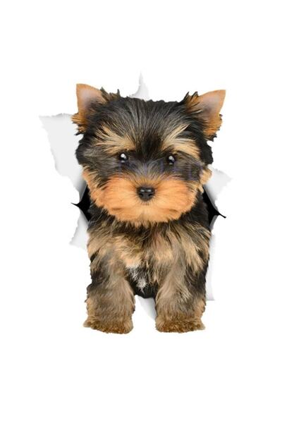 TSC Χαριτωμένο αυτοκόλλητο Yorkie Dog Αυτοκόλλητα για σκύλους Leptop